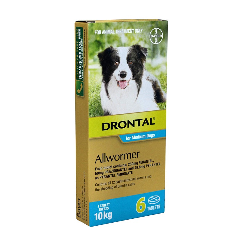 Drontal Allwormer Tablets for Medium Dogs – 6 Tablets