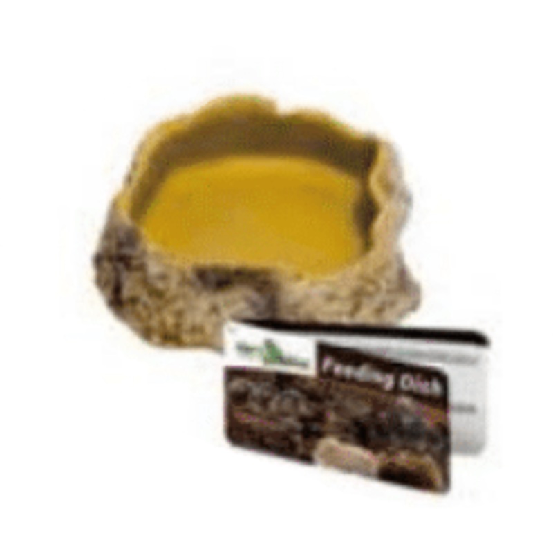 Reptile Food Dish (4 Sizes)|Mini 8.7x11x2.8cm|Small 10.5×15.5x3cm|Medium 13.5×19.2x4cm|Large 17.5z23.5x5cm