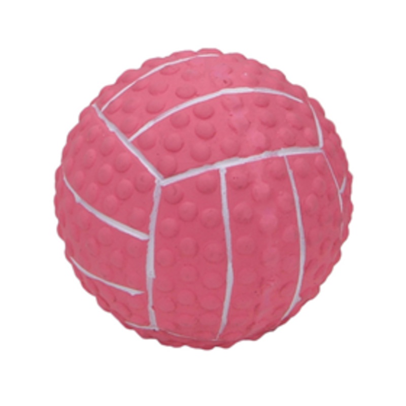 Coastal Li’l Pals Latex Volleyball 2