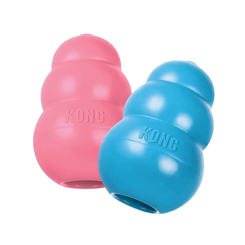 KONG Puppy|Small|Medium|Large|Pink|Blue