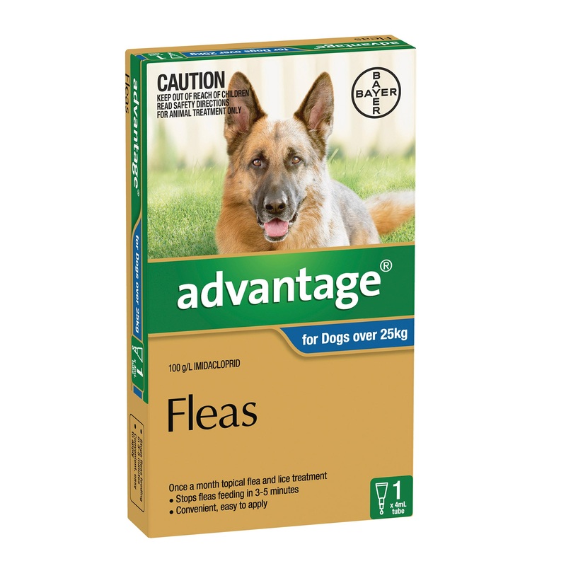Advantage for Dogs Over 25kg|Single|4’s|6’s