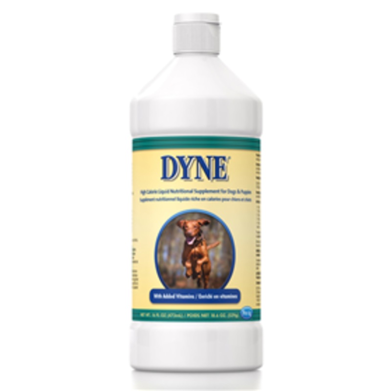 Dyne High Calorie Supplement