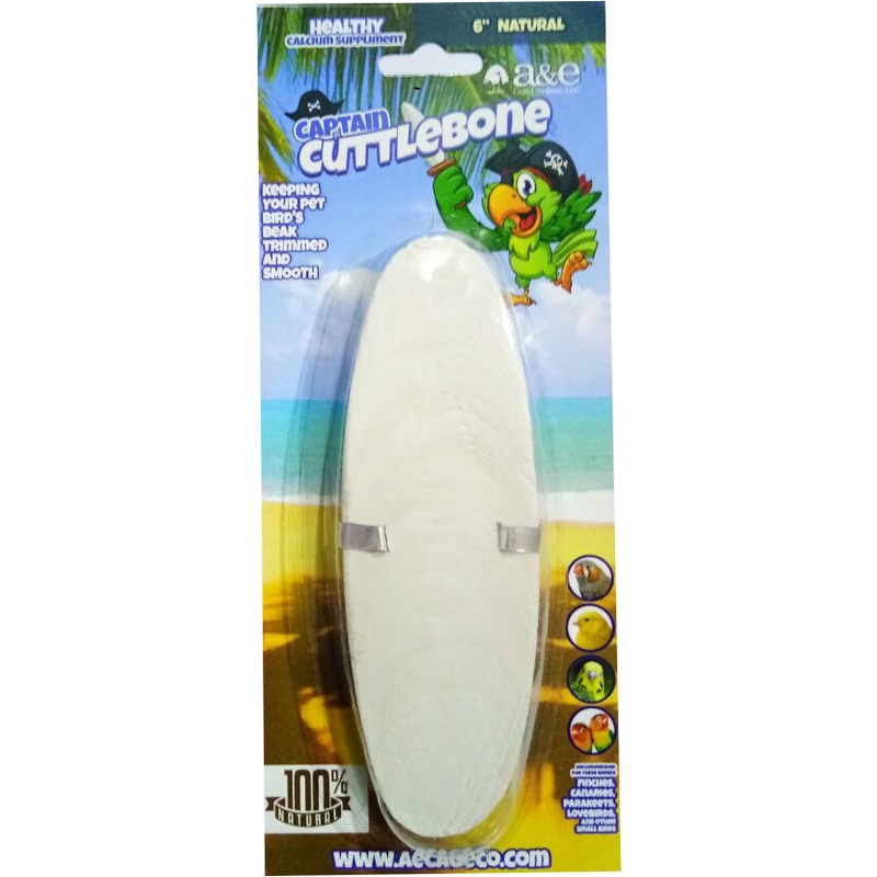 A&E Cage Company 6 Natural Cuttlebone for Birds