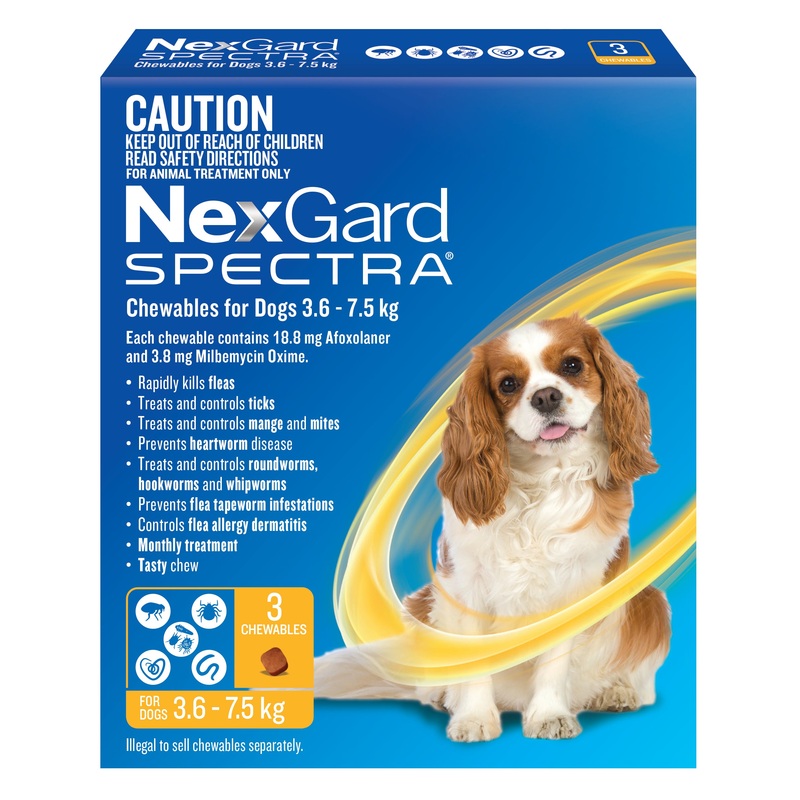 NexGard SPECTRA Small Dog Chews 3.6-7.5kg