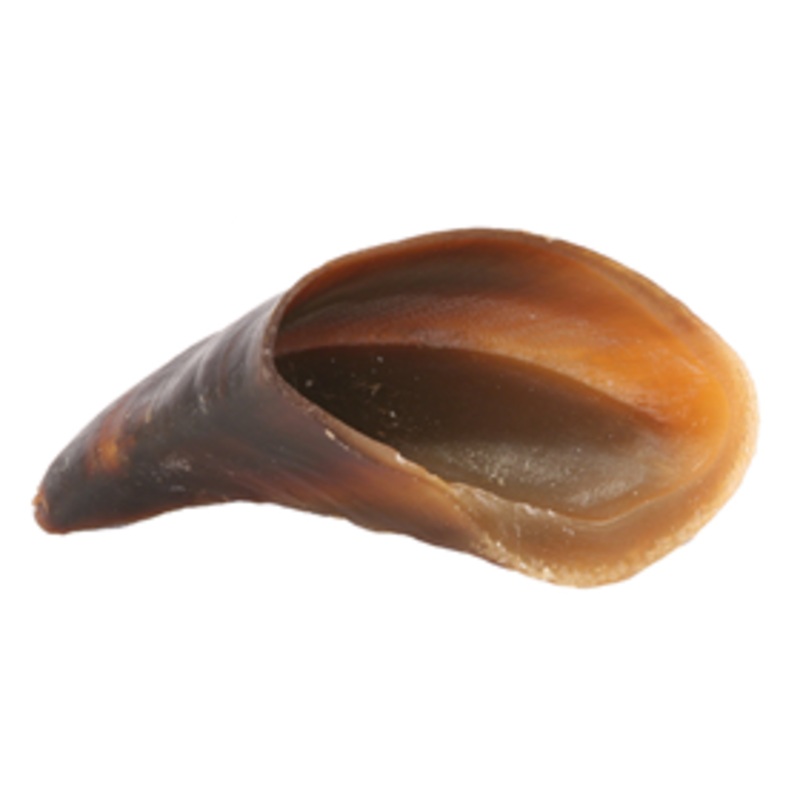 Redbarn Cow Hoof Natural Chew for Dogs