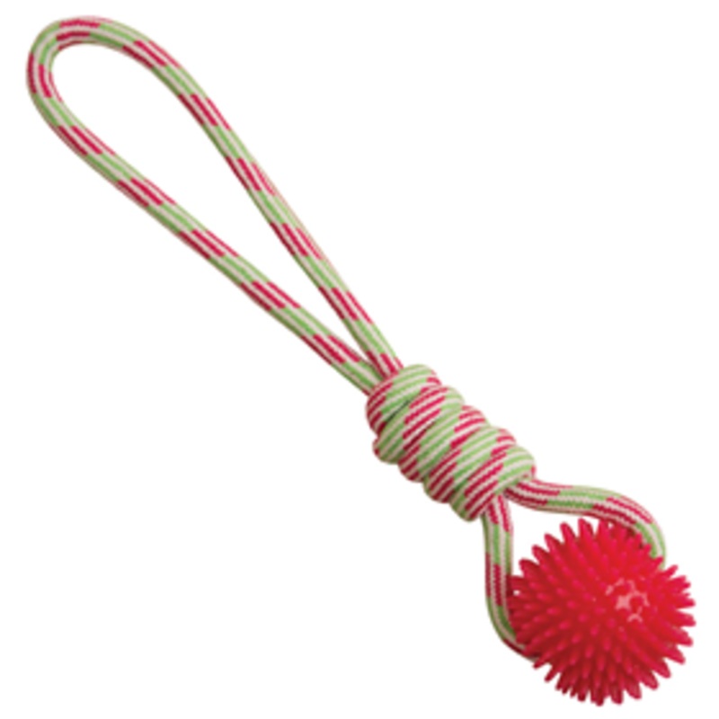 SnugARooz Spike-O-Mite 16 in