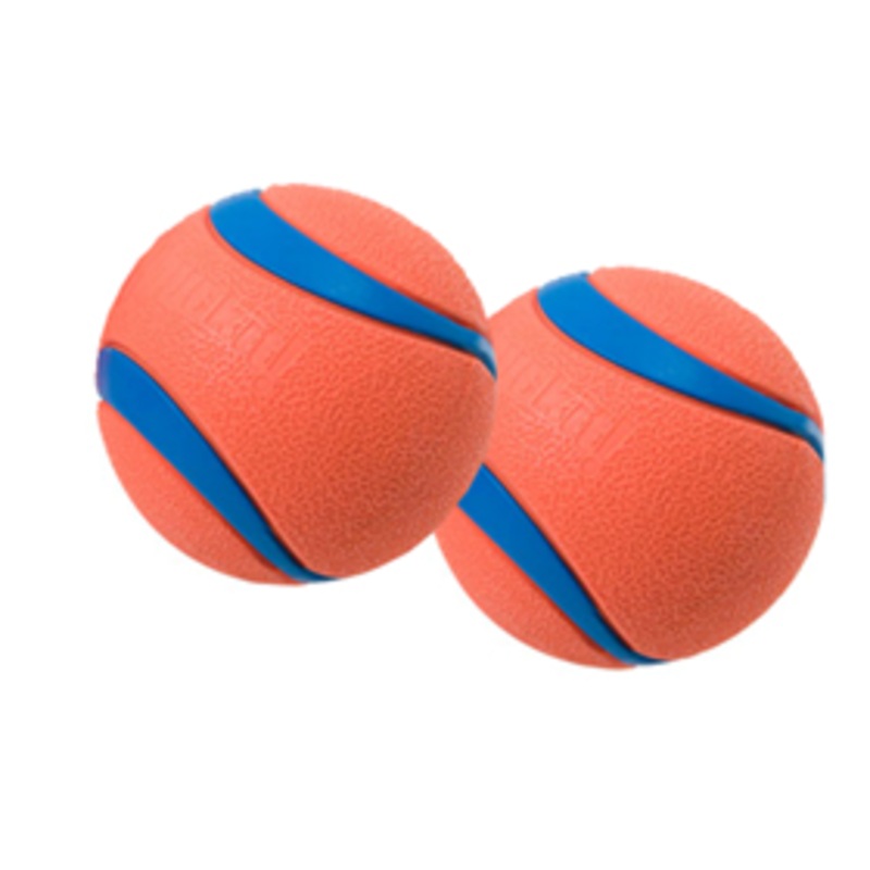 Chuckit! Ultra Balls Dog Toy