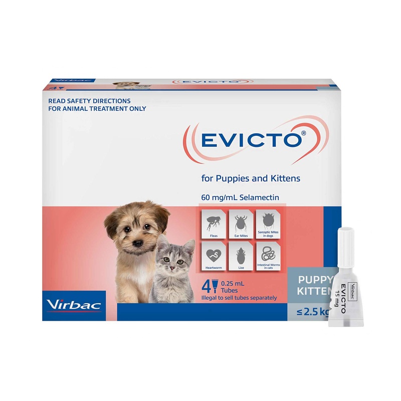 EVICTO Spot-on for Puppies & Kittens Up to 2.5kg 4’s