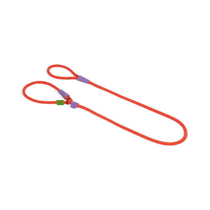 Zee.Dog Slip-N-Lock Leash Everest