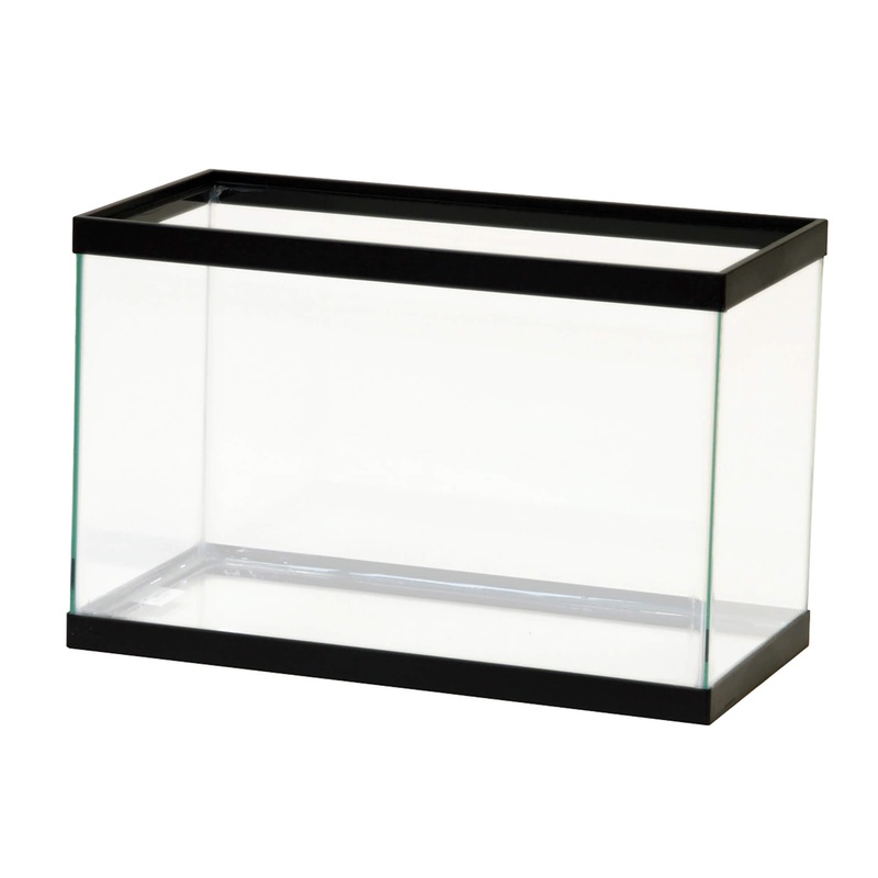 Aqueon Standard Glass Rectangle Aquarium Clear Silicone Black – 5.5 Gallon
