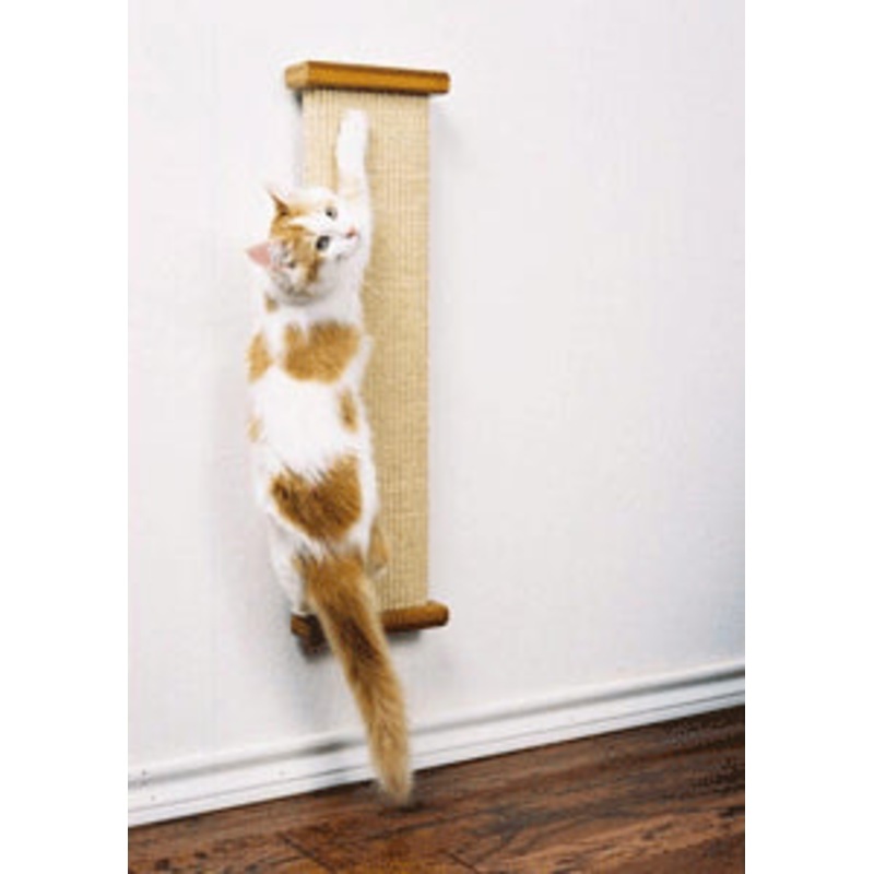 SmartCat Combination Scratcher