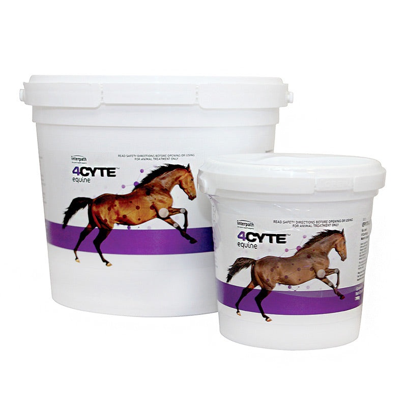 4CYTE Horse  Joint Treatment Granules
