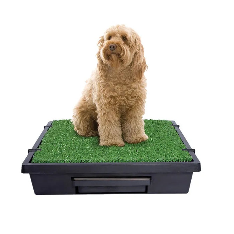 PetSafe Pet Loo Pet Toilet|Small|Medium|Large