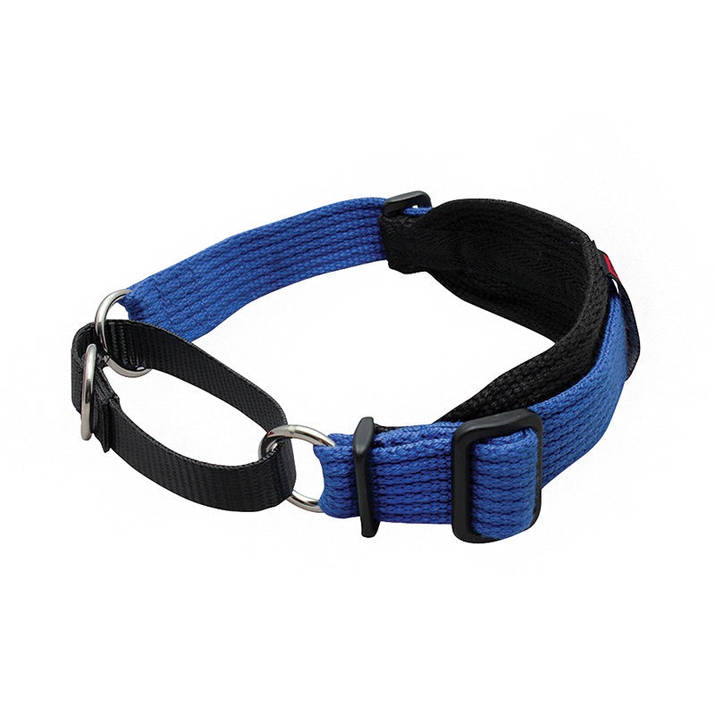 Black Dog Wear Two Tone Sighthound Collar