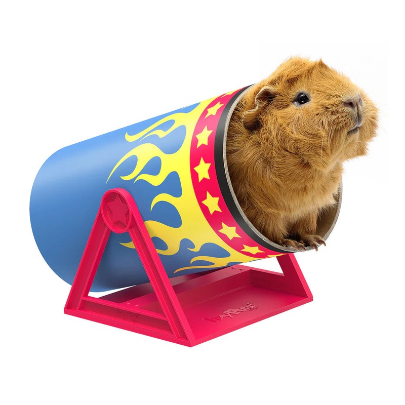 HayPigs! Cavy Cannonball Tilting Tunnel