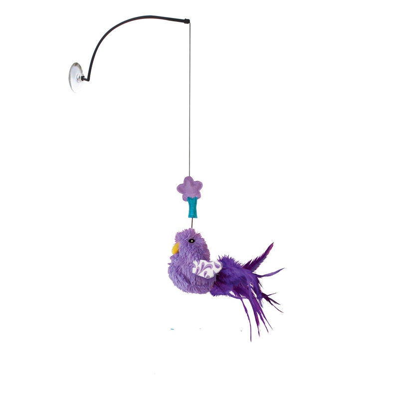 KONG Window Teaser – Purple
