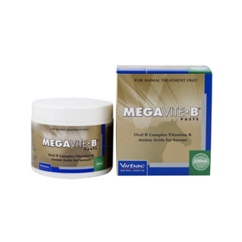 Virbac Megavite-B Recovery Paste for Horses 230mL