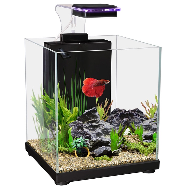 Aqua One Betta Sanctuary Glass Aquarium Black