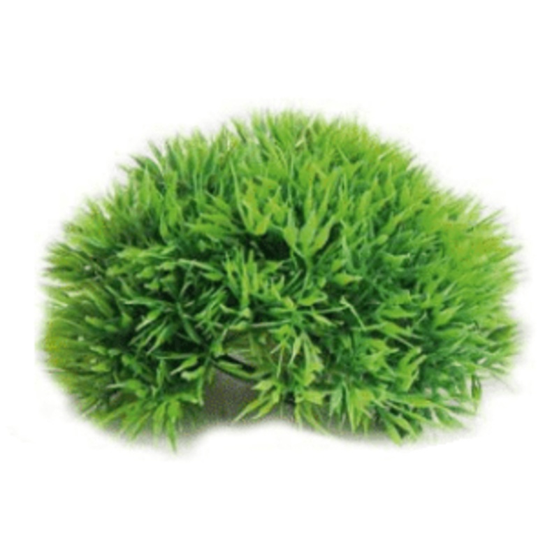 Aquarium Half Moss 12cm