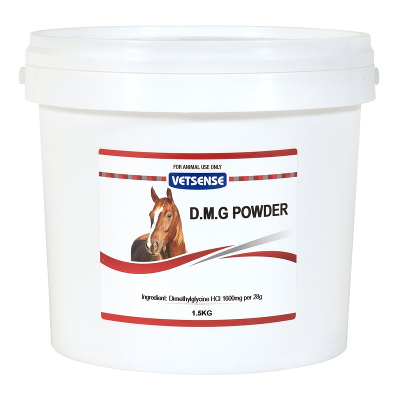Vetsense D.M.G. Powder|1.5kg
