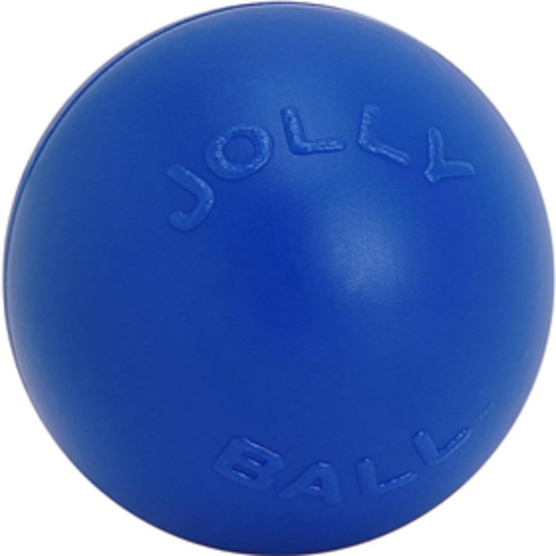 JollyPet Blue Push N Play