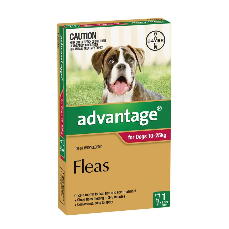 Advantage for Dogs 10-25kg|Single|4’s|6’s