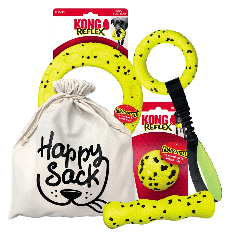 KONG Reflex Romp Happy Sack