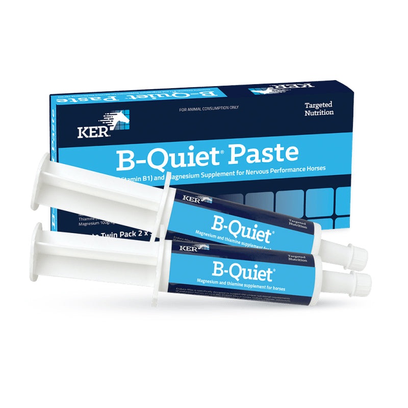 KER B-Quiet Paste – 2 X 30g Twin Pack