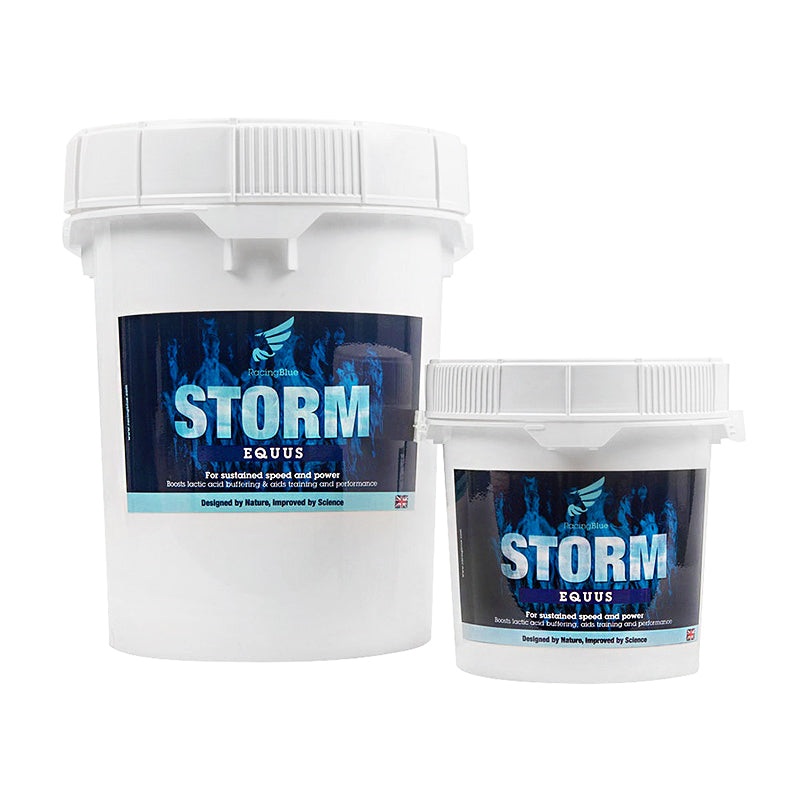Storm Equus|3kg|12kg