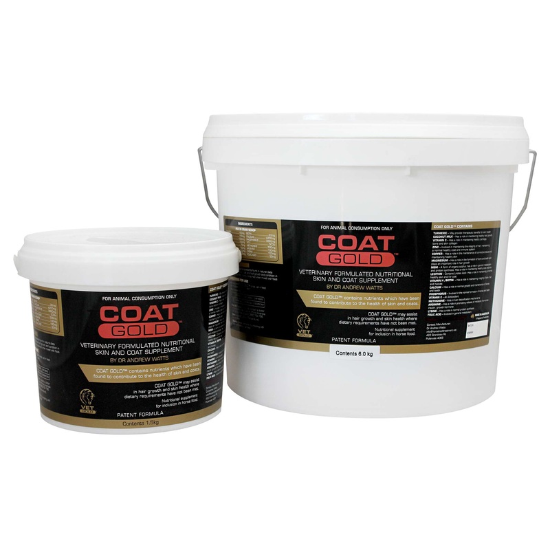 Coat Gold – Nutritional Skin & Coat Supplement for Horses