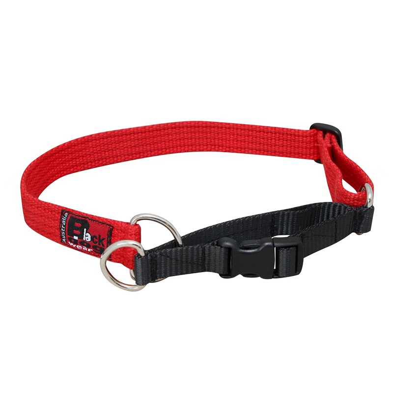 Black Dog Wear Limited Slip Collar