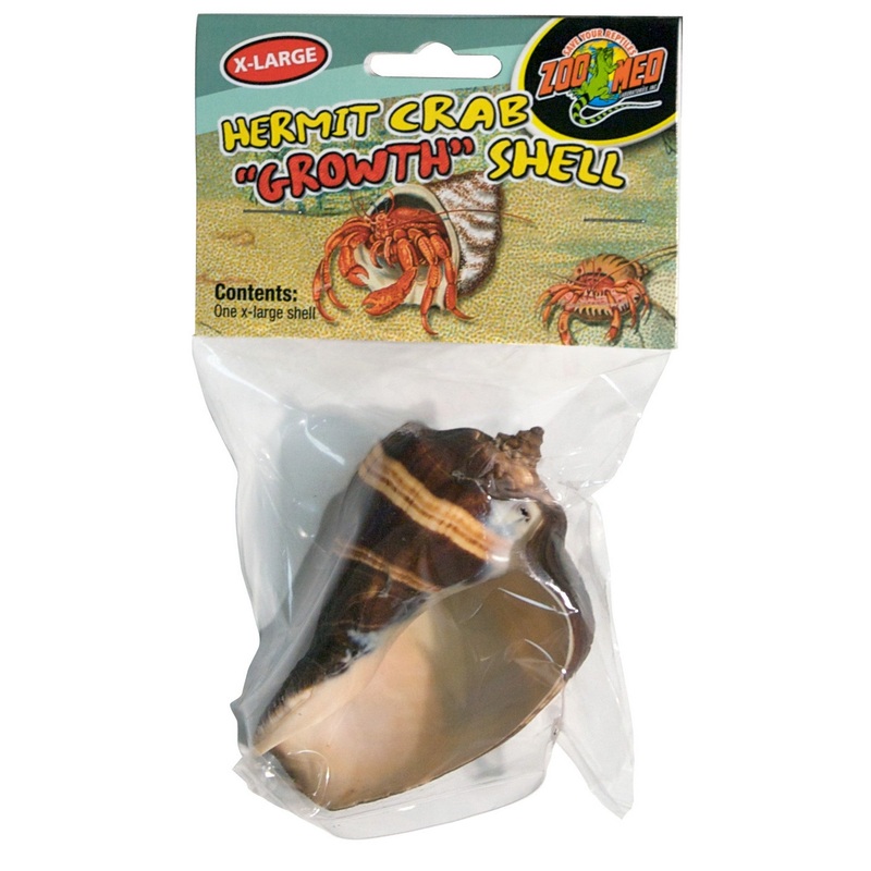 Zoo Med Hermit Crab Growth Shells – 1 Pack Extra Large