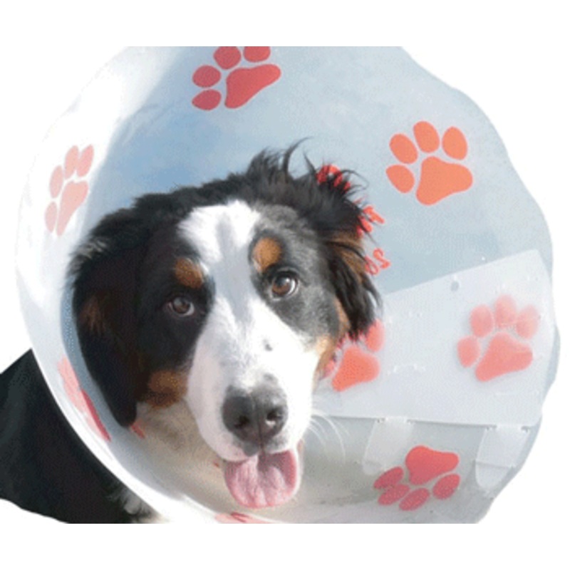 Funcol Elizabethan E Collar|7.5cm|10cm|12.5cm|15cm|20cm|25cm|30cm