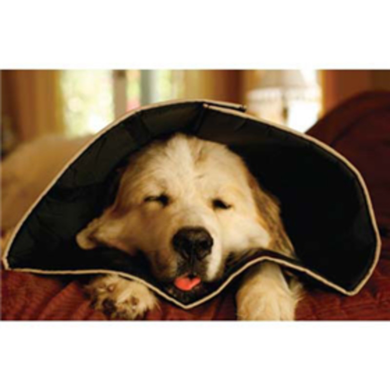The Comfy Cone