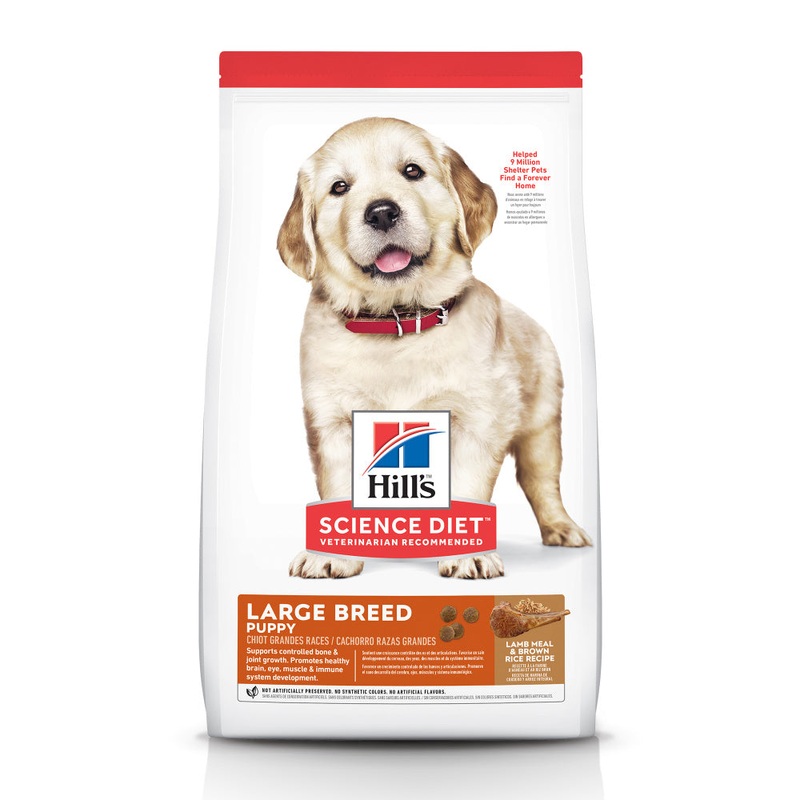 Hill’s Science Diet Puppy Large Breed Lamb Meal & Brown Rice Dry Dog Food
