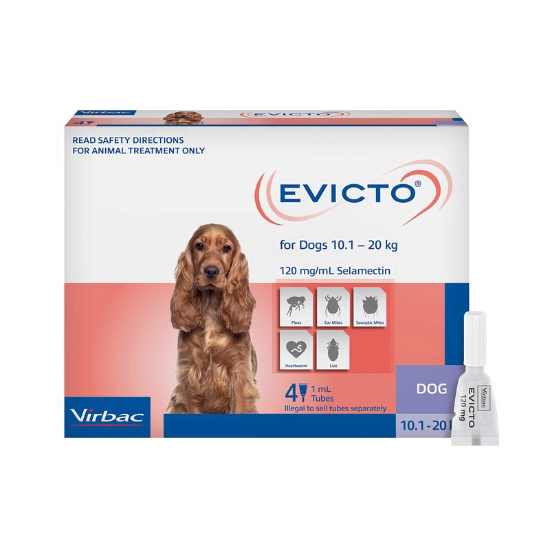 EVICTO Spot-on for Medium Dogs 10kg-20kg 4’s