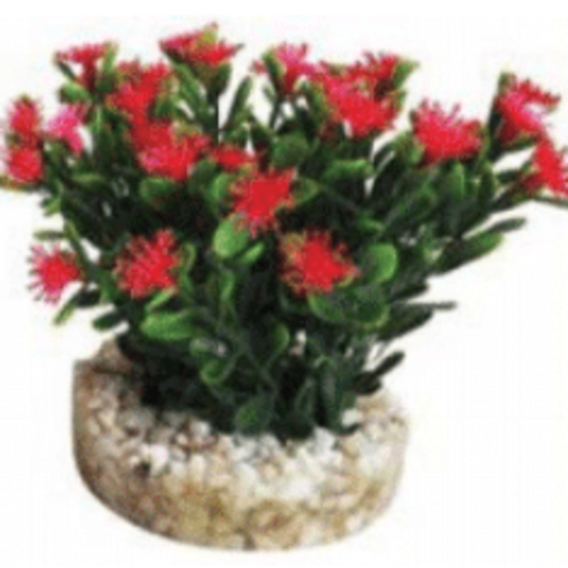 Aqua Bouquet 9cm|Pink/Blue|Red/Green|Orange/Yellow|Spiky Red/Green|Spiky Green/Red
