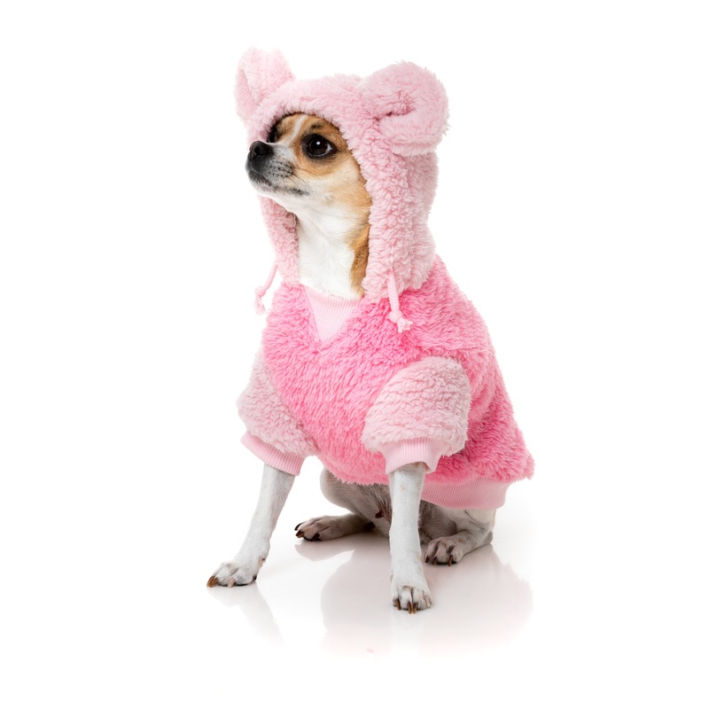 FuzzYard Winnie Dog Hoodie Pink