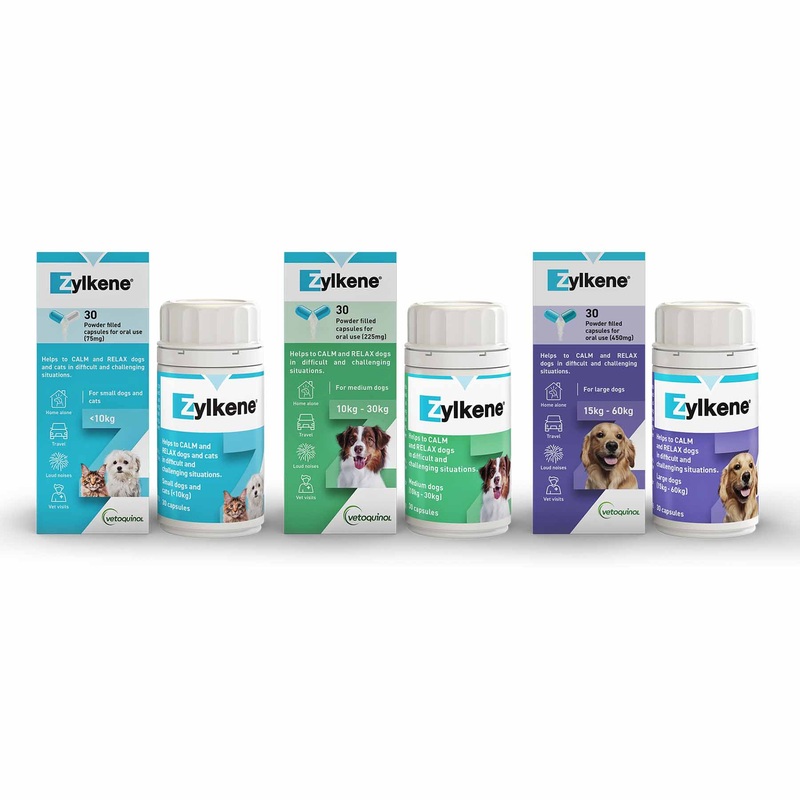 Zylkene Capsules – Behavioural Support for Cats & Dogs
