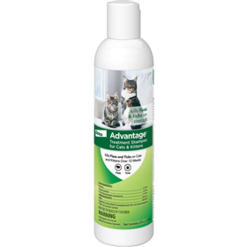 Advantage Treatment Shampoo for Cats and Kittens 8 oz.
