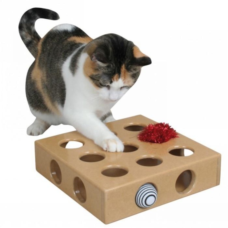 SmartCat Peek-and-Play Toy Box