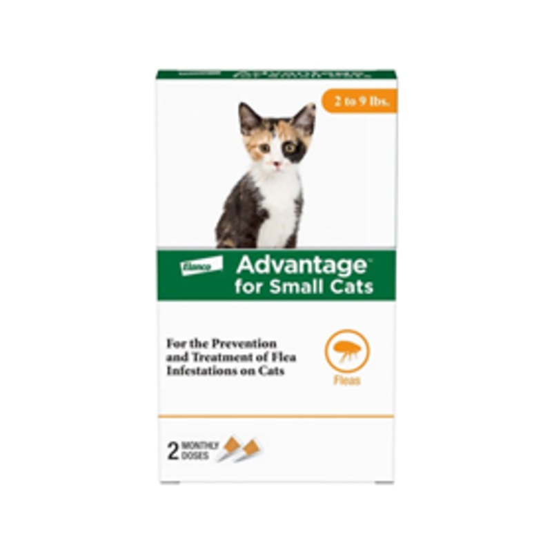 Advantage Classic Cat Topical Flea Treatment