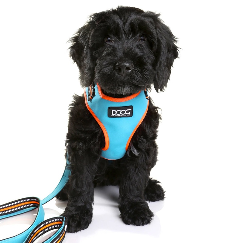 DOOG Neoflex Soft Harness – Neon