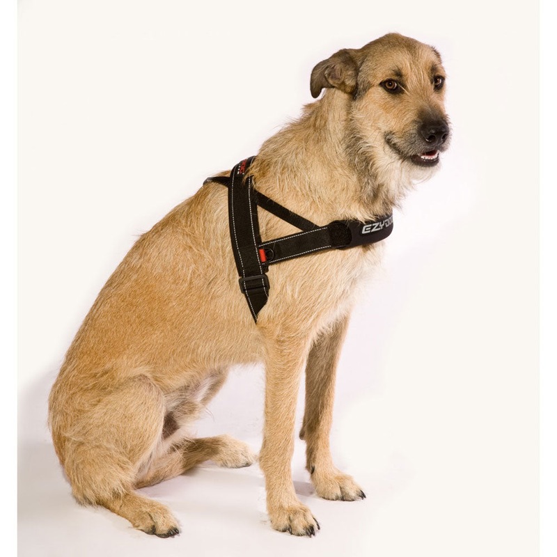 EzyDog Quick-Fit Harness|XXS|XL|Black|Blue|Red|Pink|Green Camo|Pink Camo|Purple