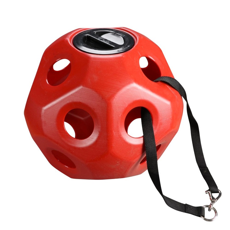 Horsemaster Slow Feed Ball|Blue|Red