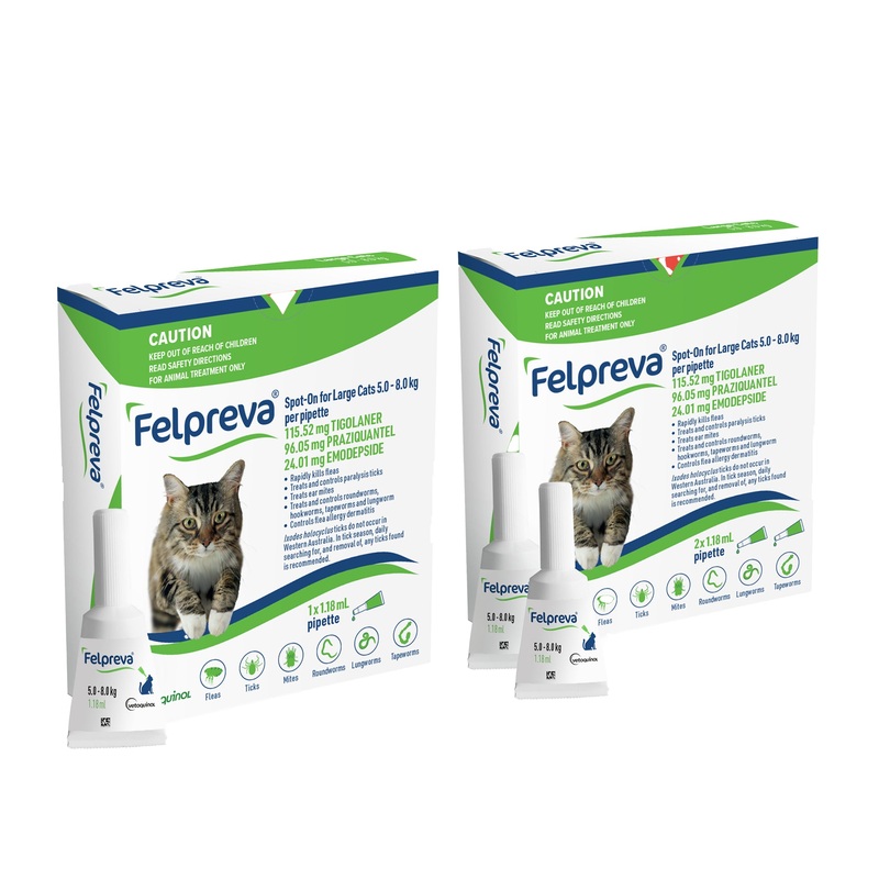 Felpreva Spot-On for Large Cats 5-8kg