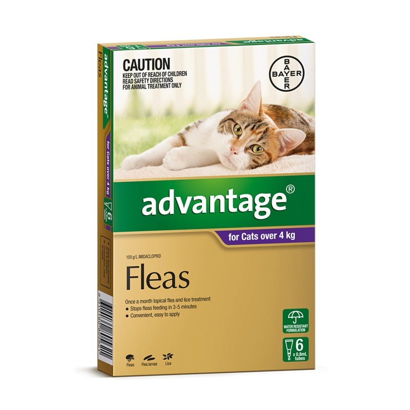Advantage for Cats Over 4kg|4’s|6’s|Single