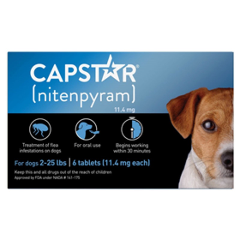 CapStar Flea Treatment for Dogs