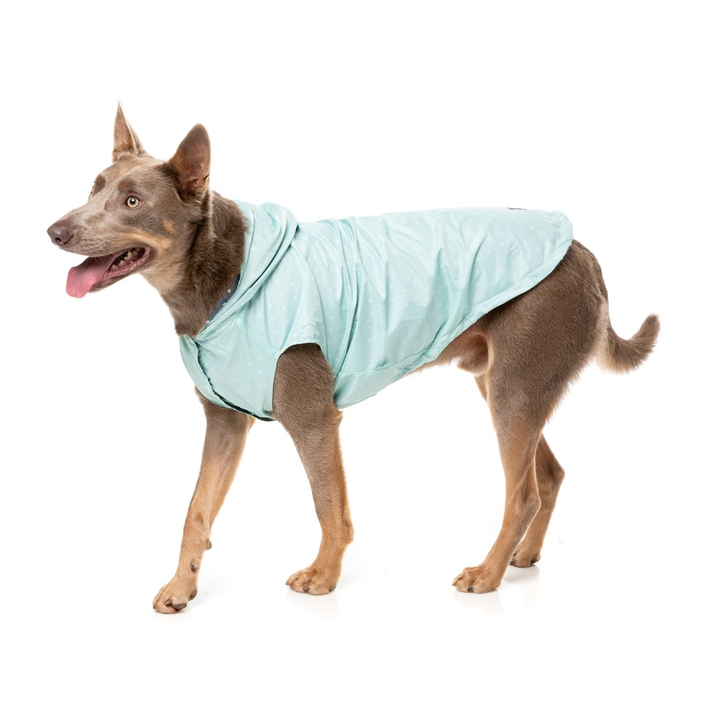 FuzzYard Flipside Dog Raincoat Mint