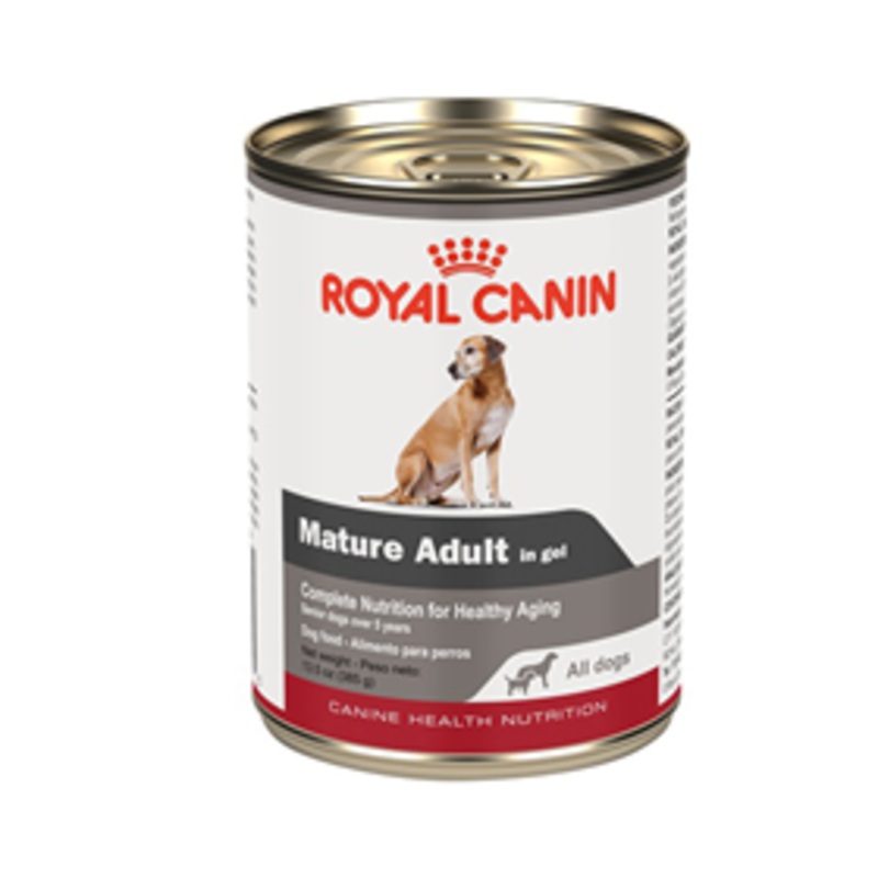 Royal Canin Mature Adult in gel Canned Dog Food 13.5 oz.
